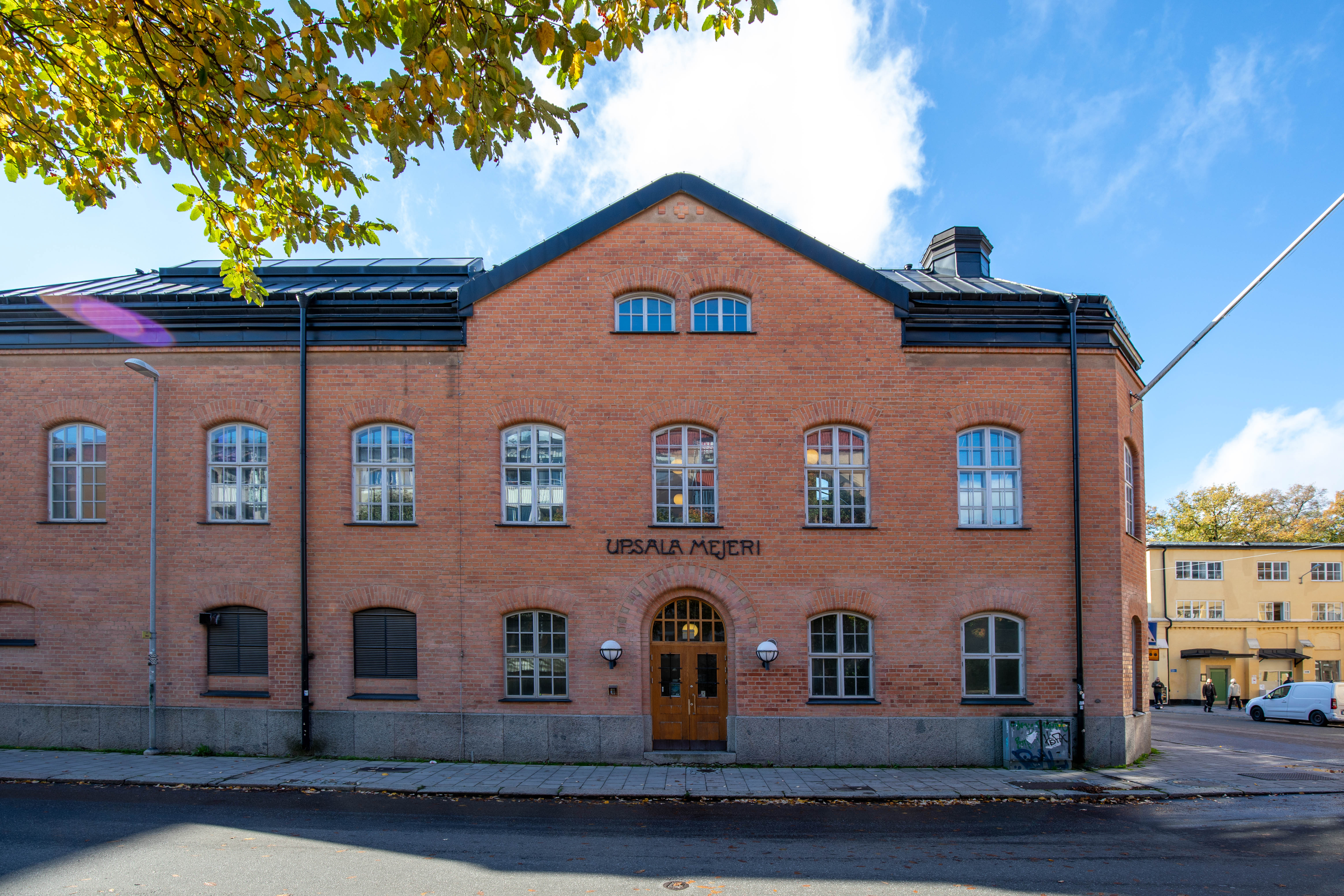 Dekorativ bild