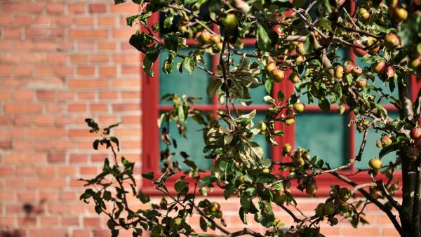 Minskad klimatpåverkan